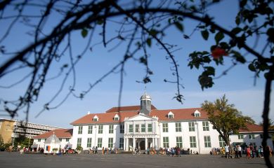 Museum dan Pandemi Covid-19 (Ringkasan Eksekutif)